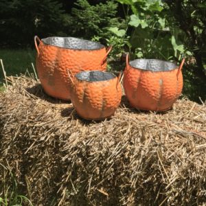 Pumpkin Planter