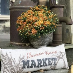 Farmers Market Pillow