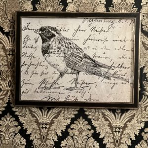 Bird One On Calligraphy Postcard Background