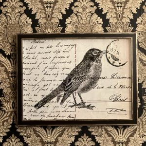 Bird Two On Calligraphy Postcard Background